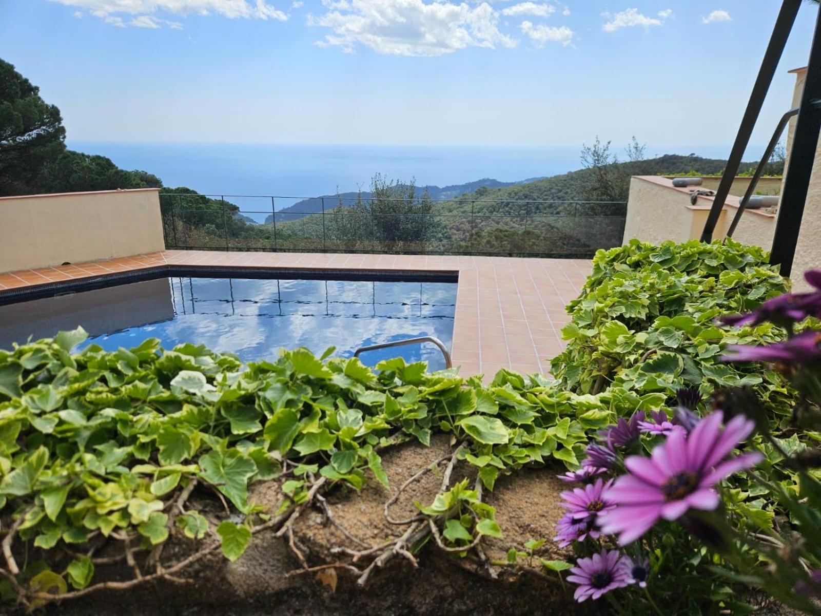 La Roqueta Bed and breakfast 4*